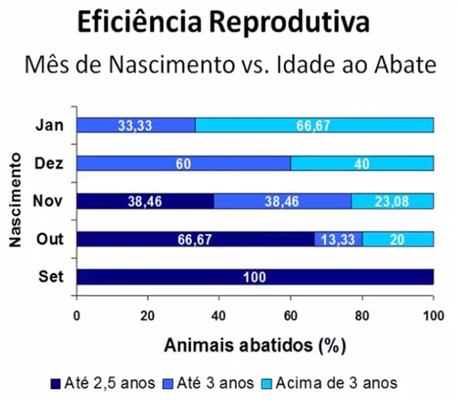 Mês de Nascimento de Bezerros X Idade ao Abate