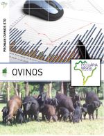 software para nutrição de ovinos