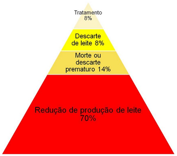 Distribuição de custos relacionados à mastite bovina