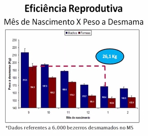 Mês de Nascimento X Peso ao Desmame de bezerros