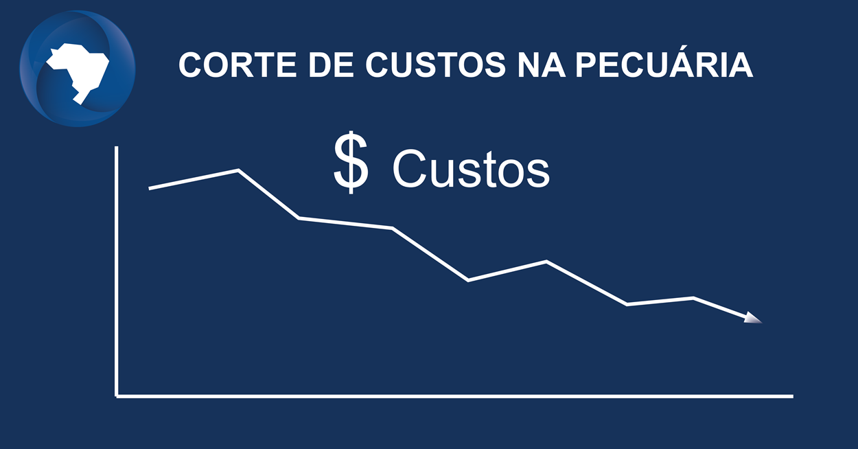 Redução de Custos de Produção na Pecuária